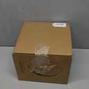 Borosilicate Glass Pot, 2.5 Quart Saucepan With Lid, Microwave, Stove and Dishwasher Safe