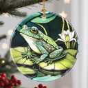 Christmas Ornaments, Frog Ornament, Christmas Tree Ornaments, Xmas Decorations, Holiday Decorations, Gifts for Frog Lovers, Holiday Party Gifts, and Xmas Gift Ideas