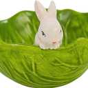 Raz Imports 2024 The Carrot Patch 6" Cabbage Bunny Bowl
