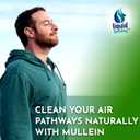 2 x Mullein Drops for Lungs, 2 Fl. Oz, Mullein Leaf Extract for Lungs Strawberry Flavor, Mullien Lung Detox and Cleanse, Mullen Tincture Support for Healthy Breathing