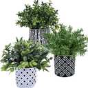 Winlyn 3-Pack Artificial Potted Plants - Faux Eucalyptus, Rosemary, Boxwood Greenery in Small Black & White Geometric Concrete Pots -Desk, Table, Shelf, Windowsill Decor for Indoor Outdoor Home Office