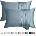 WLOSJ 100% Silk Pillow Cases 2 Pack Queen Size Mulberry Silk Pillowcase for Hair and Skin Set of 2 Highest Grade 6A Silk Soft Breathable Cooling with Hidden Zipper, Grey Blue