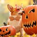 2 x Halloween Dog Collar, Pet Collar Bow Pumpkin Collars Girl Boy Holiday Pet Collar Gift Bow Cute Soft Puppy Collars for Medium Dogs (Medium (Pack of 1))