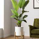 LE TAUCI 12 Inch Pot for Plants, Ceramic Planters for Indoor Plants, Mid-Century Modern Cylinder Flower Pots with Drainage Hole, Fits Fiddle Leaf Fig & Monstera, Home Decor, White