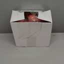 24 Set Funny Capybara Stress Balls Bulk Relief Squeeze Balls Inspirational Stress Reliever Employee Appreciation Gifts for Adult Coworkers Staff Volunteer