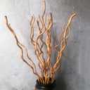 Dried Curly Willow Branches, 14-15 Stems Dried Twigs Sticks 21-23 Natural Dried Plants Decorative Branches for Rustic Home Decor, Champagne Gold