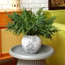 Yinder Xmas Norfolk Pine Branches with Pine Cones Norfolk Pine Artificial Xmas Branches for Xmas Indoor Outdoor Home Decor(10 Pcs)