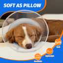 Dog Cone Collar with Soft Liner to Stop Licking, Elizabeth Recovery Collar After Surgery for Large Medium Dogs, Comfortable Pet Head Cone Alternative for Neutering Spay Injury (L)