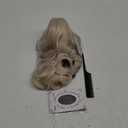 Judge Colonial Wig Long Wave Beige Wig Washington Halloween Costume Cosplay Wigs (Beige)