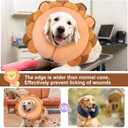 BEAUTYZOO Dog Cone Alternative After Surgery for Dogs, Soft Inflatable Cone Collar for Dogs Cats, Dog Neck Donut E Collar Dog Recovery Collar to Stop Licking, Lion, L