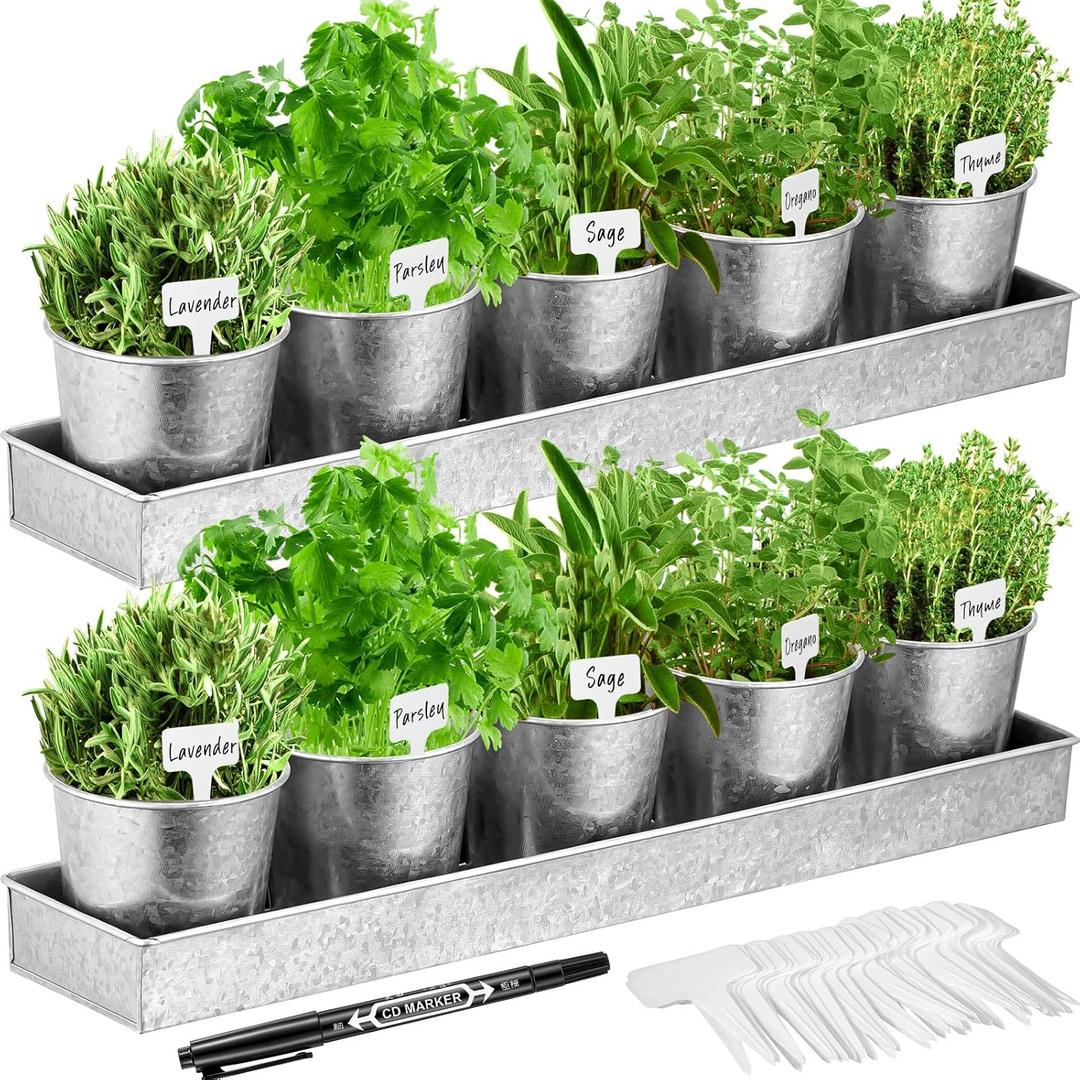 2 Sets Herb Garden Planter Indoor Kit with Trey 10 Pcs Metal Windowsill Plant Pots with Drainage Holes Indoor Herb Planter with Marker and Labels for Home Indoor Outdoor Plants(Sliver)