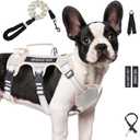 Escape Proof Dog Harness for Large Medium Sized Dogs Six Point Adjustable, Service Dog Vest Harness and Leash Set, No Pull Dogs Harnesses with Handle, Medium Dog Harnesses for Walking(Beige, M)