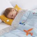 HOSUKKO Weighted Blanket - 3 lbs Cooling Blue Airplane Heavy Blanket - Small Size Breathable Blanket for Hot Sleepers(36 * 48 inches, 3 lbs)