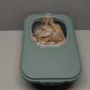 Cat Litter Storage Bin Container with Airtight Lids, Portable Cat Litter Storage Container with Wheels, Kitchen Cereal Rice Leakproof Sealable (Green)