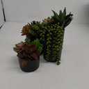 SEEKO Succulents Plants Artificial (3 Pack) - Indoor Fake Succulents with Black Pot