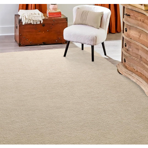 Hutha Area Rug for Bedroom Living Room, 4x6 Beige Solid Fluffy Super Soft Furry Bedside Carpets, Modern Indoor Floor Rug Aesthetic Minimalist Rug for Kids Girls Boys Home Decor