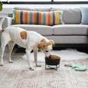 Waggo Simple Solid Dog Bowl and Dog Bowl Stand - Single Iron Stand with Single Ceramic Feeder or Water Bowl (Large, Matte White)