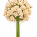 Beige Hydrangea Artificial Flowers Large Artificial Hydrangeas Silk Flowers for Home Decor Indoor Wedding Flowers Bouquets