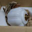 15in Milk Glass Light Fixture Semi Flush Mounted, Bulb Included