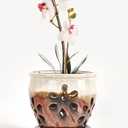 Vensovo 5 Inch Ceramic Orchid Pots with Holes and Saucers - 1 Pcs Small Succulent Pot for Repotting, Garden Flowerpots for Plants Indoor and Outdoor Promotes Air Circulation, Brown Mixed