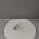 BEMIS 75 Commercial Open Front Plastic Toilet Seat, Heavy Duty Industrial Seat with Lid, Round, White