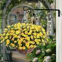 Saffruff 15 Inch 2 Black Pack Heavy Duty Outdoor Plant Hangers, Iron Hanging Plant Brackets for Hanging Plants Outside, Metal Plant Hooks Plant Wall Hooks for Hanging Lantern, Bird Feeder