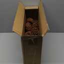 25 Pcs Large Natural Pine Cones for Crafts, 3" to 4" Tall Pine Cones Craft for Christmas, Table, Home Decor, Vase Fillers, Desk & Christmas Trees, Unscented Pinecones Crafts Ornament for Decorating