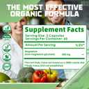 Magnesium Supplement Softgels, Easy Absorption Magnesium Glycinate 500mg, High Bioavailability Magnesium for Sleep & Calm Support, Nervous, Muscle & Bone Health 120 Softgels