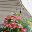 3 x 20 Pack S Hooks for Hanging, Heavy Duty S Shaped Hooks Stainless Steel Metal Hangers Hanging Hooks for Kitchen, Clothes, Plants, Work Shop, Pots, Pans,Bags, Cups, Garden