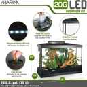 Marina 20 Gallon LED Aquarium Kit Complete Fish Tank Setup with Filter, Lighting & Accessories