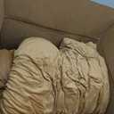 Poly Plush Comforter Set, 3 Pieces (Black Caramel, King)