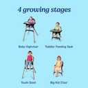 Graco Ready2Dine DLX 4-in-1 Highchair, Portable High Chair with 4 Growing Stages, Foldable Baby High Chair, Toddler Feeding Seat, Youth Stool, and Big Kid Seat, Hazen