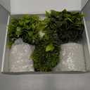 Der Rose 3 Pack Mini Potted Fake Plants Artificial Plastic Eucalyptus Plants Topiaries for Home Office Desk Farmhouse Shelf Room Bathroom Decor(Green)