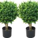 Hedyotis Topiary Artificial Trees - Set of Two 24-Inch-Tall UV-Resistant Shrubs - Indoor/Outdoor Fake Plants for Front Porch Decor by Pure Garden