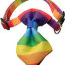 POPETPOP Rainbow Bow Tie Cat Collar Breakaway Safety Collar for Cats and Dogs Adjustable Pet Necklace for Daily Wear and Special Occasions