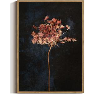 WALLZK Vintage Framed Wall Art Moody Botanical Wall Decor Dark Dried Flower Minimalist Canvas Prints Pictures Rustic Retro Artwork for Walls Living Room Bedroom Bathroom 16"x24"
