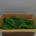 2-Pack 6FT Artificial Norfolk Pine Garlands, Hyperzoo Realistic Winter Pine Christmas Greenery Garland for Mantle, Staircase, Banister, Fireplace, Door, Table, Indoor & Outdoor Holiday Xmas Decortions