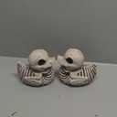 JOYIN 2 PCS 4.5 Duck Skeleton Plastic Bones Halloween Decorations for Spooky Animal Courtyard Halloween Graveyard Decor, Indoor Outdoor Prop Party Trick or Treat Decor