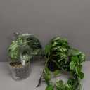 Fake Plants 2 Pcs Faux Pothos Plants Potted Indoor Artificial Hanging Plants Realistic Fake Greenery Table Desk Bathroom Office Bedroom Living Room Shelf Modern Farmhouse Decor Outdoor