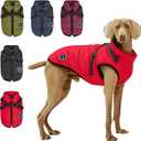Warm Dog Winter Coat, Fashion Sports Dog Cold Weather Jacket with Built-in Harness, Reflective & Adjustable Comfortable Pet Vest, Windproof Apparel for Small Medium Large Dogs (Red) (2XL)