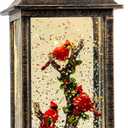 Christmas Snow Globe Lantern Water Glittering 10'' Cardinal with Music & Timer, USB Lined/Battery Operated Lighted Lantern for Christmas Festival Decoration Gifts