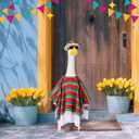 Mepase 3 Pcs Mexican Porch Goose Outfit Cinco De Mayo Goose Costume Set Sombrero Sunglasses Clothes for 23'' Mexican Outdoor Lawn Yard Garden Patio Statue Accessories Party Decoration