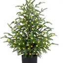 2FT Artificial Norfolk Pine Christmas Tree  Tabletop Faux Tree Unlit/Prelit with 50 LED Lights & 8-Function Battery Box, Pre-Assembled Holiday Decor for Home or Office (Prelit-2FT-1Pack)