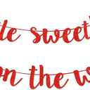 Valentines Baby Shower Decorations A Litter Sweetheart is On The Way Banner Little Sweetheart Baby Shower Decorations Valentines Day for Party (red)
