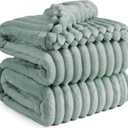Bedsure Full Size Blankets for Bed - GentleSoft Cozy Soft Blankets for Women, Cute Large Throws for Girls, Sage Green, 84x90 Inches
