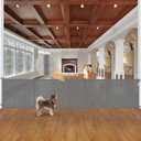 Reinforced 42" Tall Baby Gates for Dogs with Support Rods - Prevent Crawling Under, 175" Extra Wide Baby Gates for Large Openings, Tall Retractable Gate Indoor Large Dog Gate Outdoor Deck Gate, Gray