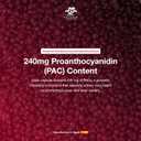 Cranberry PAC Supplement  240 mg PAC, Sugar-Free  Urinary Tract Infection Support  Most Effective Cranberry Pills for Cystitis & Interstitial Cystitis Relief
