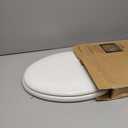 MAYFAIR 1844CP 000 Toilet Seat with Chrome Hinges will Never Come Loose, ELONGATE , White