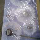 Canvas Painting Pictures  Artwork for Bedroom Office Home Decor 29"x58"