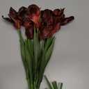 Iris Flowers Artificial Real Touch Flowers 6 PCS 18.9 in Long Stems Artificial Iris for Decoration for Wedding Bridal Home Kitchen Party(Burgundy)